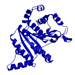 Image of CATH 3wqk