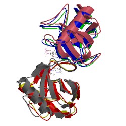 Image of CATH 3wr2