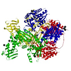 Image of CATH 3wrx