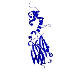 Image of CATH 3wso