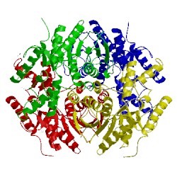 Image of CATH 3wsv