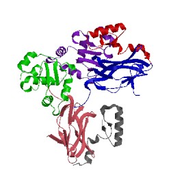 Image of CATH 3wts