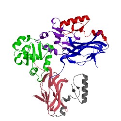 Image of CATH 3wtt