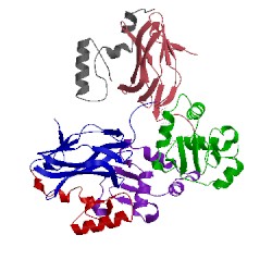 Image of CATH 3wtv