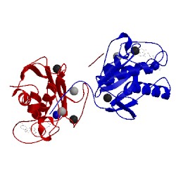 Image of CATH 3wv1