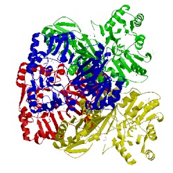 Image of CATH 3wvr