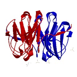 Image of CATH 3ww8