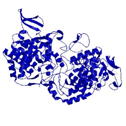 Image of CATH 3wxo