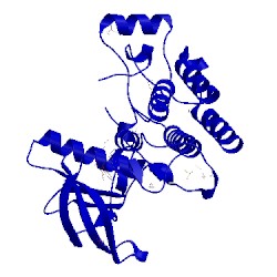Image of CATH 3wzd