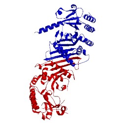 Image of CATH 3wzz