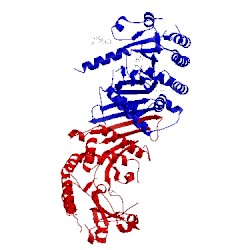 Image of CATH 3x0b