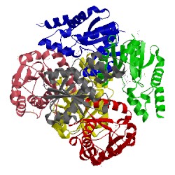 Image of CATH 3x1k