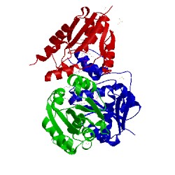 Image of CATH 3x1m