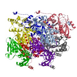 Image of CATH 3x43