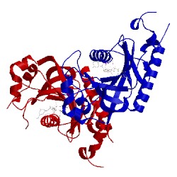 Image of CATH 3zbr