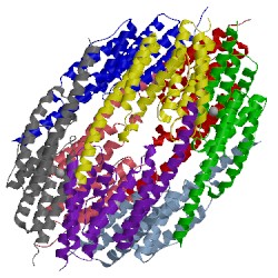 Image of CATH 3zc1