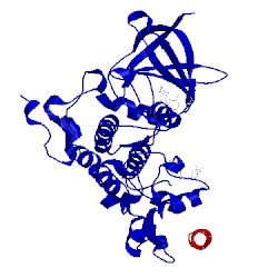 Image of CATH 3zdi
