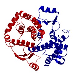 Image of CATH 3zfl