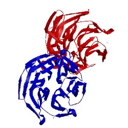 Image of CATH 3zgd