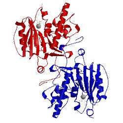 Image of CATH 3zgf