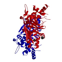 Image of CATH 3zjf