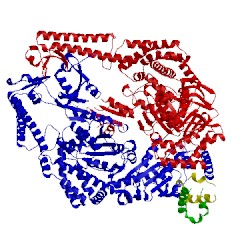 Image of CATH 3zlj