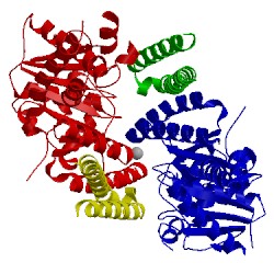 Image of CATH 3zs8