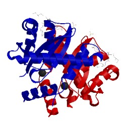 Image of CATH 3zsr