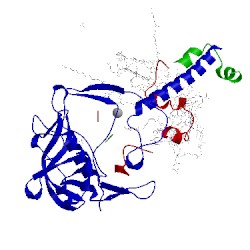 Image of CATH 3zum