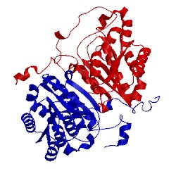 Image of CATH 3zv3