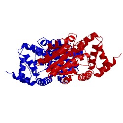 Image of CATH 3zxi
