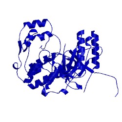 Image of CATH 3zya
