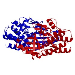 Image of CATH 3zzw