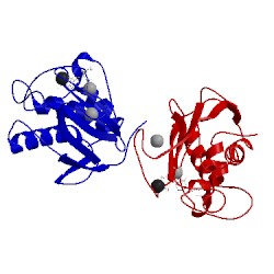 Image of CATH 456c