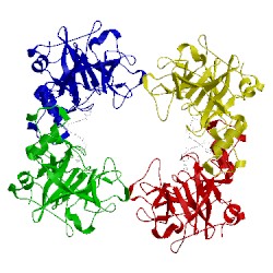 Image of CATH 4a6l
