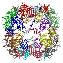 Image of CATH 4a8b