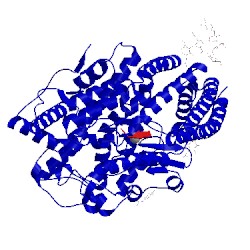 Image of CATH 4aa1