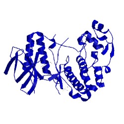 Image of CATH 4aa5