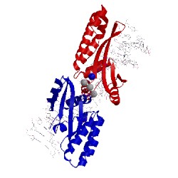 Image of CATH 4aab
