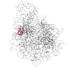 Image of CATH 4abs
