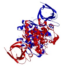 Image of CATH 4acc