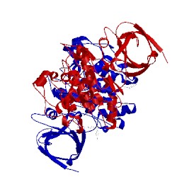 Image of CATH 4acd