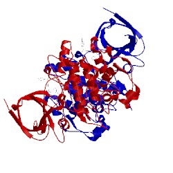 Image of CATH 4acg
