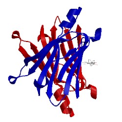 Image of CATH 4act