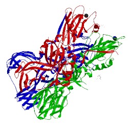 Image of CATH 4adj