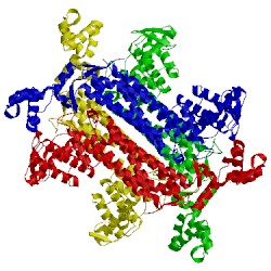 Image of CATH 4adm