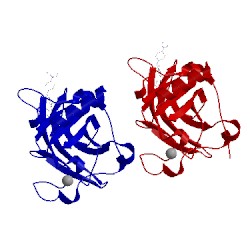 Image of CATH 4agp