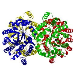 Image of CATH 4aho