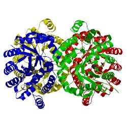 Image of CATH 4ahp