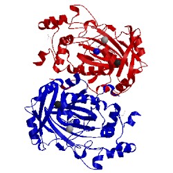 Image of CATH 4ai9